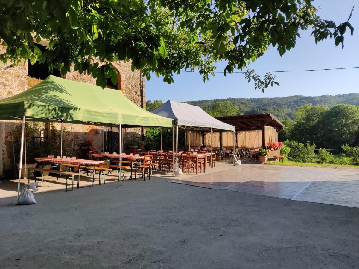 Agriturismo Munarin Caterina Mioglia Экстерьер фото